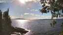 ./images/koeye/fitz-hugh/20260329/fitz-hugh20260329_162001M.jpg