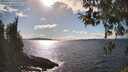 ./images/koeye/fitz-hugh/20260329/fitz-hugh20260329_162501M.jpg