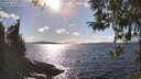 ./images/koeye/fitz-hugh/20260329/fitz-hugh20260329_163501M.jpg