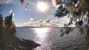 ./images/koeye/fitz-hugh/20260329/fitz-hugh20260329_171001M.jpg