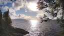 ./images/koeye/fitz-hugh/20260329/fitz-hugh20260329_174001M.jpg