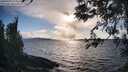 ./images/koeye/fitz-hugh/20260329/fitz-hugh20260329_175501M.jpg