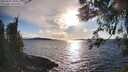 ./images/koeye/fitz-hugh/20260329/fitz-hugh20260329_180501M.jpg