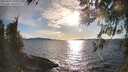 ./images/koeye/fitz-hugh/20260329/fitz-hugh20260329_181001M.jpg