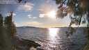 ./images/koeye/fitz-hugh/20260329/fitz-hugh20260329_181501M.jpg