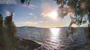 ./images/koeye/fitz-hugh/20260329/fitz-hugh20260329_182001M.jpg
