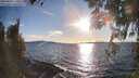 ./images/koeye/fitz-hugh/20260329/fitz-hugh20260329_182501M.jpg