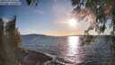 ./images/koeye/fitz-hugh/20260329/fitz-hugh20260329_183501M.jpg