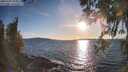 ./images/koeye/fitz-hugh/20260329/fitz-hugh20260329_184001M.jpg