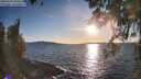 ./images/koeye/fitz-hugh/20260329/fitz-hugh20260329_184501M.jpg