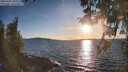 ./images/koeye/fitz-hugh/20260329/fitz-hugh20260329_185502M.jpg