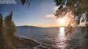 ./images/koeye/fitz-hugh/20260329/fitz-hugh20260329_191001M.jpg