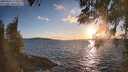 ./images/koeye/fitz-hugh/20260329/fitz-hugh20260329_191501M.jpg