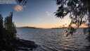 ./images/koeye/fitz-hugh/20260329/fitz-hugh20260329_192501M.jpg