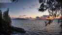 ./images/koeye/fitz-hugh/20260329/fitz-hugh20260329_195001M.jpg