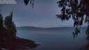 ./images/koeye/fitz-hugh/20260330/fitz-hugh20260330_064001M.jpg