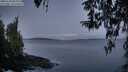 ./images/koeye/fitz-hugh/20260330/fitz-hugh20260330_065501M.jpg