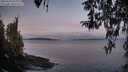 ./images/koeye/fitz-hugh/20260330/fitz-hugh20260330_071001M.jpg