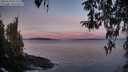 ./images/koeye/fitz-hugh/20260330/fitz-hugh20260330_071502M.jpg