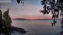./images/koeye/fitz-hugh/20260330/fitz-hugh20260330_072001M.jpg