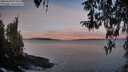 ./images/koeye/fitz-hugh/20260330/fitz-hugh20260330_072502M.jpg