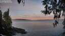 ./images/koeye/fitz-hugh/20260330/fitz-hugh20260330_073002M.jpg