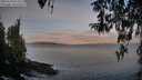 ./images/koeye/fitz-hugh/20260330/fitz-hugh20260330_073501M.jpg
