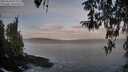 ./images/koeye/fitz-hugh/20260330/fitz-hugh20260330_074002M.jpg