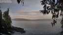 ./images/koeye/fitz-hugh/20260330/fitz-hugh20260330_074502M.jpg