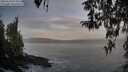 ./images/koeye/fitz-hugh/20260330/fitz-hugh20260330_075002M.jpg