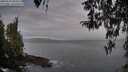 ./images/koeye/fitz-hugh/20260330/fitz-hugh20260330_080501M.jpg