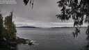 ./images/koeye/fitz-hugh/20260330/fitz-hugh20260330_094002M.jpg