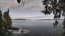 ./images/koeye/fitz-hugh/20260330/fitz-hugh20260330_101502M.jpg