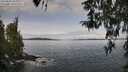 ./images/koeye/fitz-hugh/20260330/fitz-hugh20260330_103001M.jpg