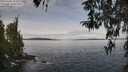 ./images/koeye/fitz-hugh/20260330/fitz-hugh20260330_103501M.jpg