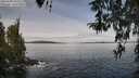 ./images/koeye/fitz-hugh/20260330/fitz-hugh20260330_104001M.jpg
