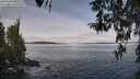 ./images/koeye/fitz-hugh/20260330/fitz-hugh20260330_104501M.jpg