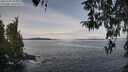 ./images/koeye/fitz-hugh/20260330/fitz-hugh20260330_105001M.jpg