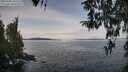 ./images/koeye/fitz-hugh/20260330/fitz-hugh20260330_105501M.jpg