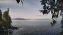 ./images/koeye/fitz-hugh/20260330/fitz-hugh20260330_111501M.jpg