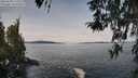 ./images/koeye/fitz-hugh/20260330/fitz-hugh20260330_112501M.jpg