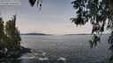 ./images/koeye/fitz-hugh/20260330/fitz-hugh20260330_113001M.jpg