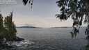 ./images/koeye/fitz-hugh/20260330/fitz-hugh20260330_114001M.jpg