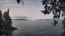 ./images/koeye/fitz-hugh/20260330/fitz-hugh20260330_120501M.jpg