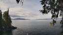 ./images/koeye/fitz-hugh/20260330/fitz-hugh20260330_125001M.jpg