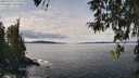 ./images/koeye/fitz-hugh/20260330/fitz-hugh20260330_130501M.jpg