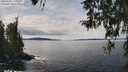 ./images/koeye/fitz-hugh/20260330/fitz-hugh20260330_131002M.jpg