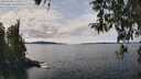 ./images/koeye/fitz-hugh/20260330/fitz-hugh20260330_133001M.jpg