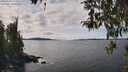 ./images/koeye/fitz-hugh/20260330/fitz-hugh20260330_141002M.jpg