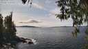 ./images/koeye/fitz-hugh/20260330/fitz-hugh20260330_143001M.jpg